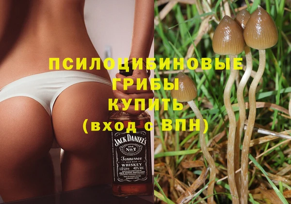 spice Заволжск