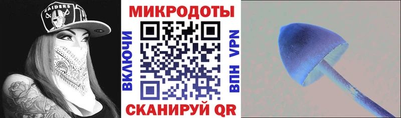 мориарти телеграм  Кизилюрт  Псилоцибиновые грибы мицелий  OMG ONION 